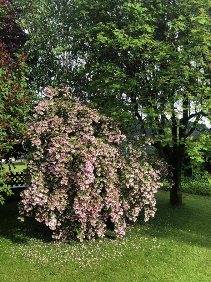 Fruehstueckspension Eichberger Pols Esterno foto